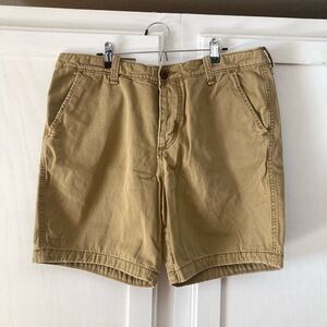 Hollister Men's Tan Flat Front Shorts